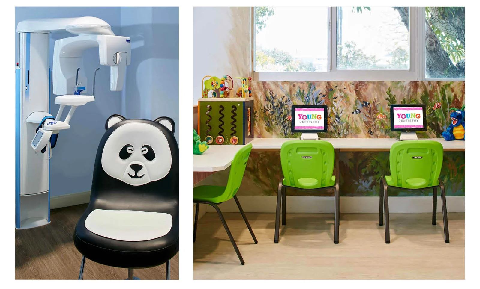 Young Dentistry