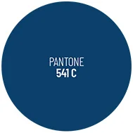 pantone-541-c